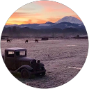 Andrea Ehresman profile picture